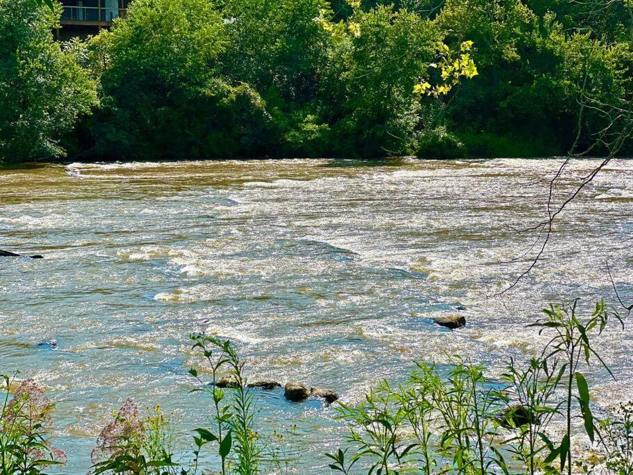 Holiday home Riverside Relaxer W/hot Tub+fire Pit +wifi & View