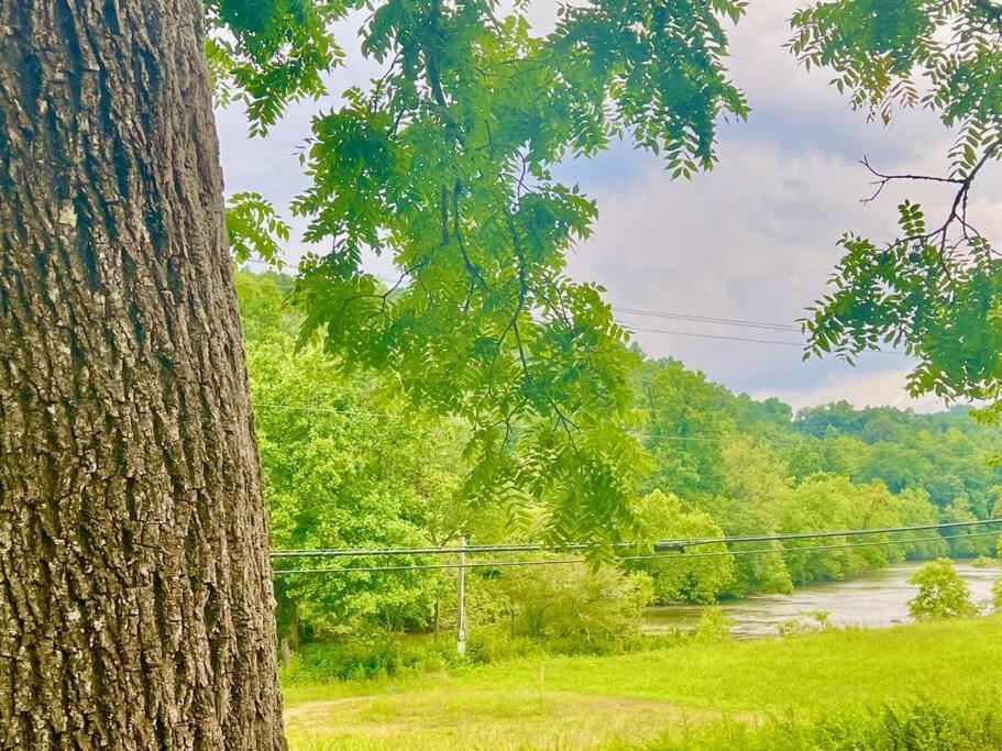 Riverside Relaxer W/hot Tub+fire Pit +wifi & View
